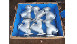 Y Type Strainer